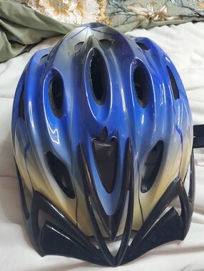 Schwinn Blue Black Gradient Bike Helmet